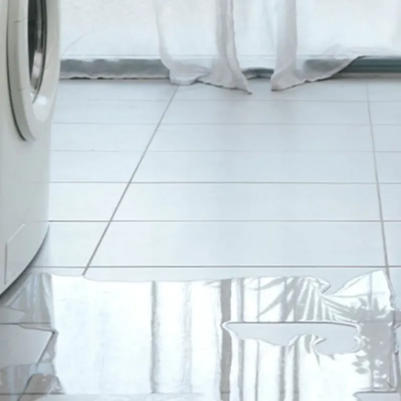 Appliance Leak Cleanup in Sumter County, SC