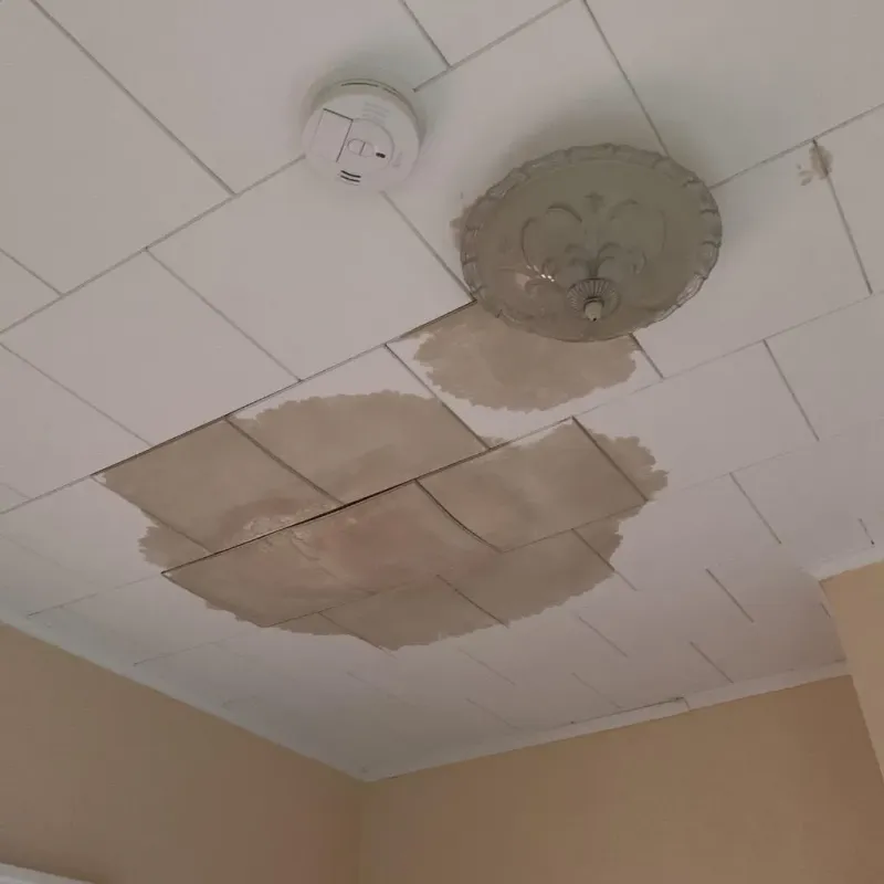 Ceiling Water Damage Repair in Sumter County, SC