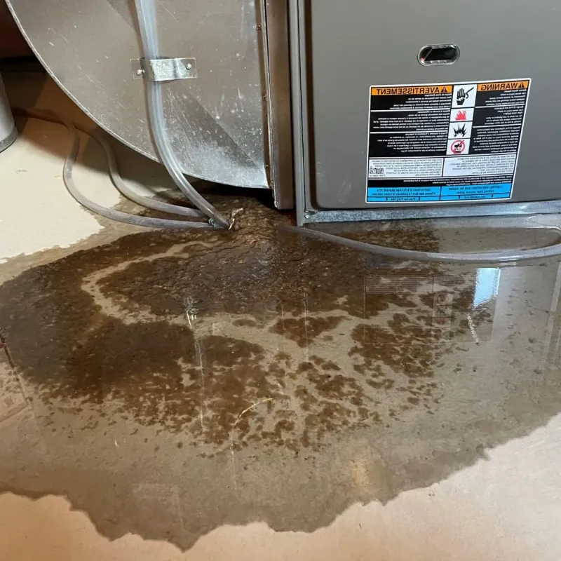 Pipe Burst and Leak Restoration in Sumter County, SC